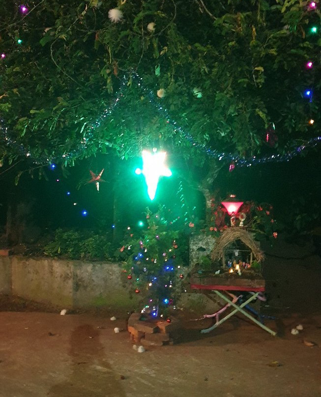 Dhanagiri Home Stay主图