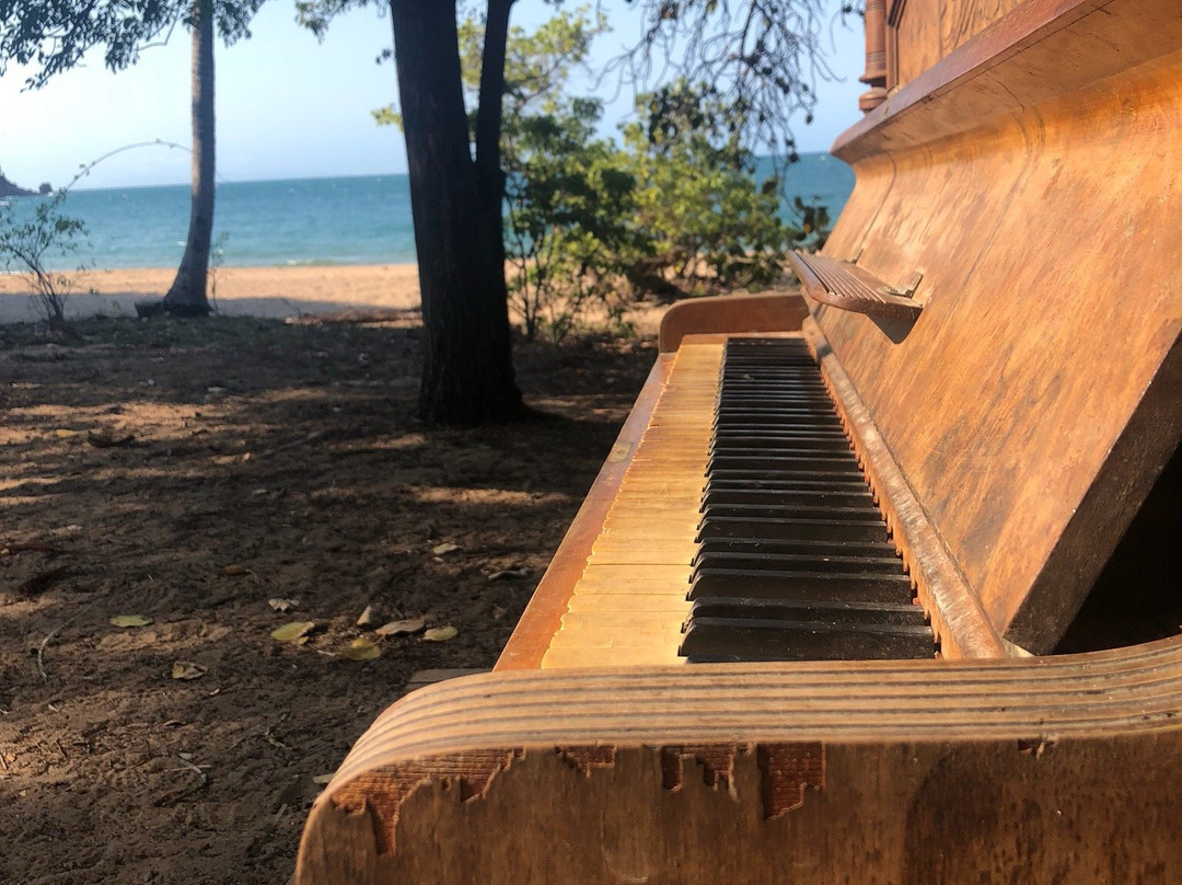 Radical Bay-Magnetic Island必去景点