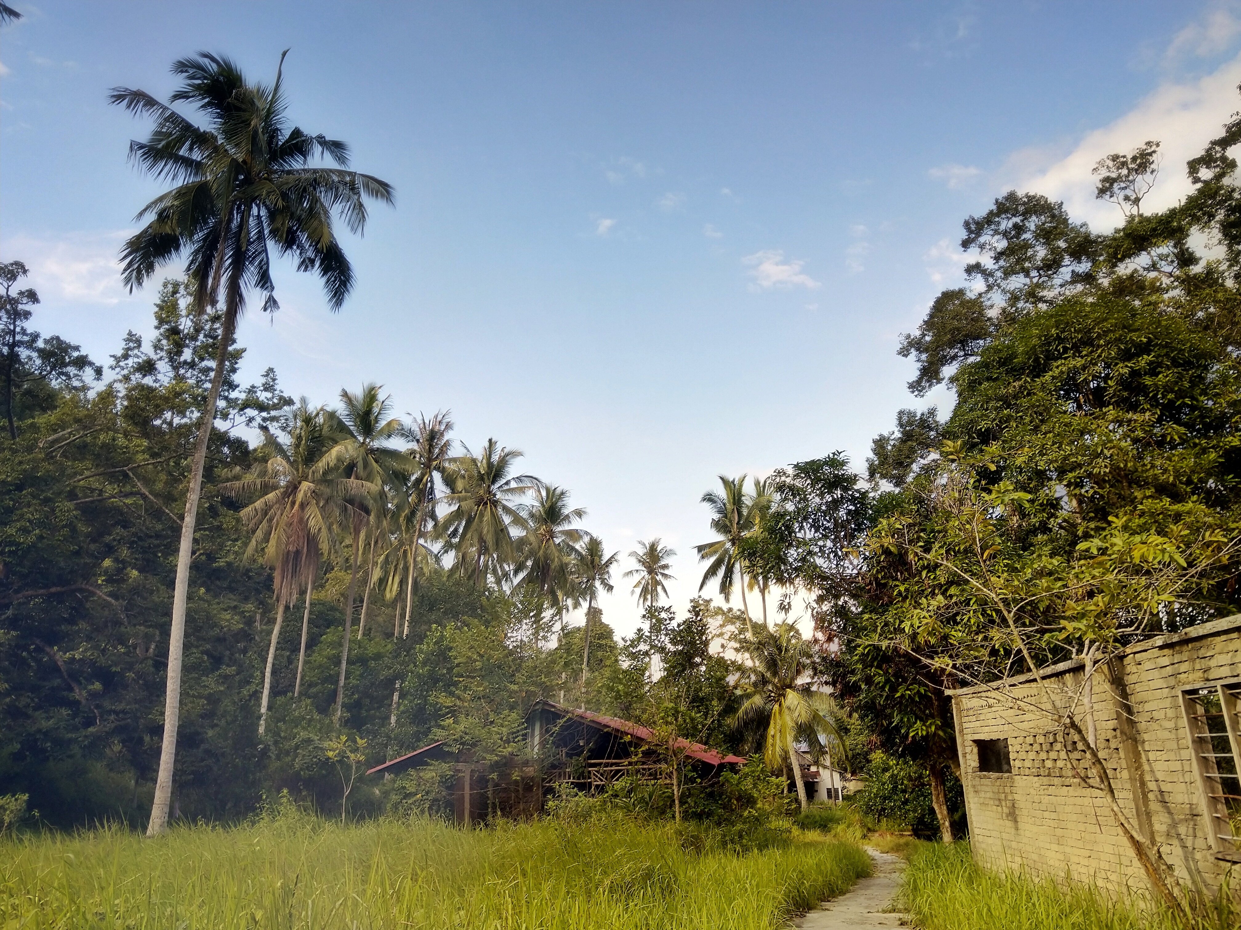 Nazri Nipah Camp-官方
