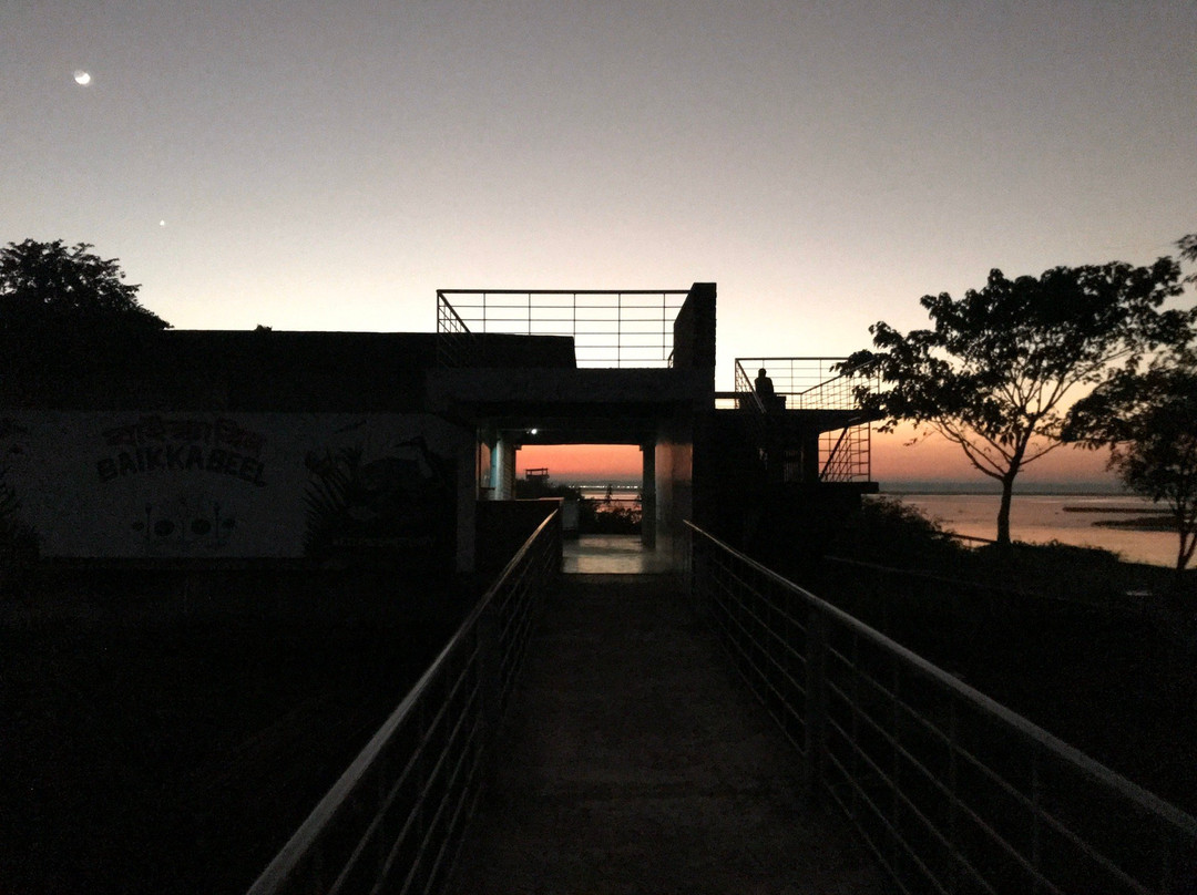 Baikka Beel Wetland Sanctuary-Sreemangal必去景点