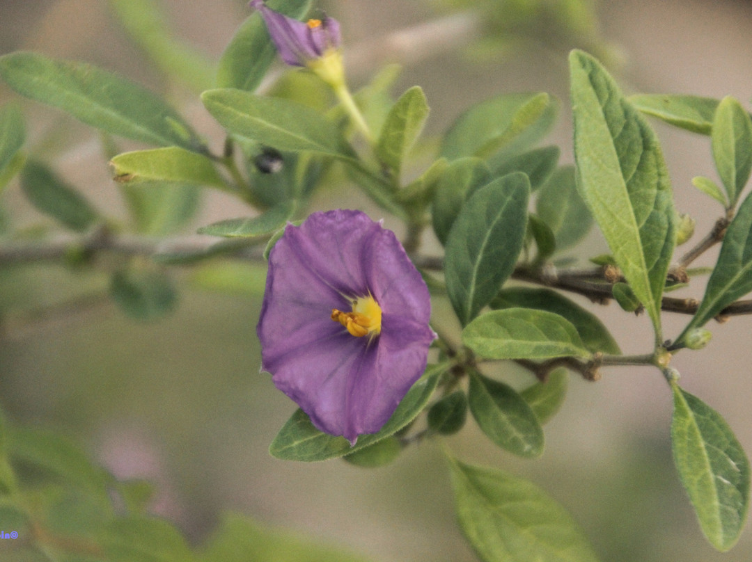 Greek Relaxation主图