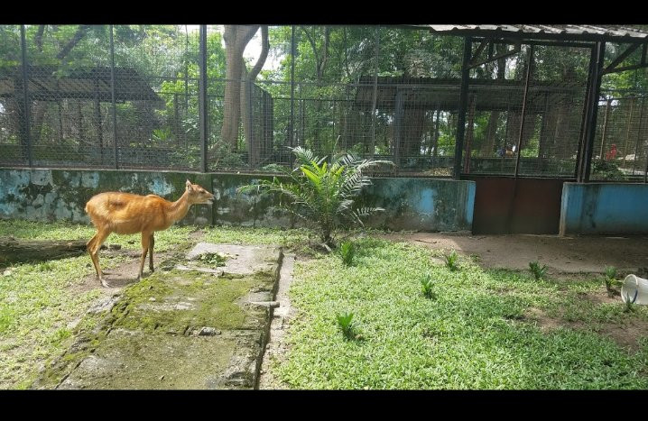 Port Harcourt Zoo景点图片