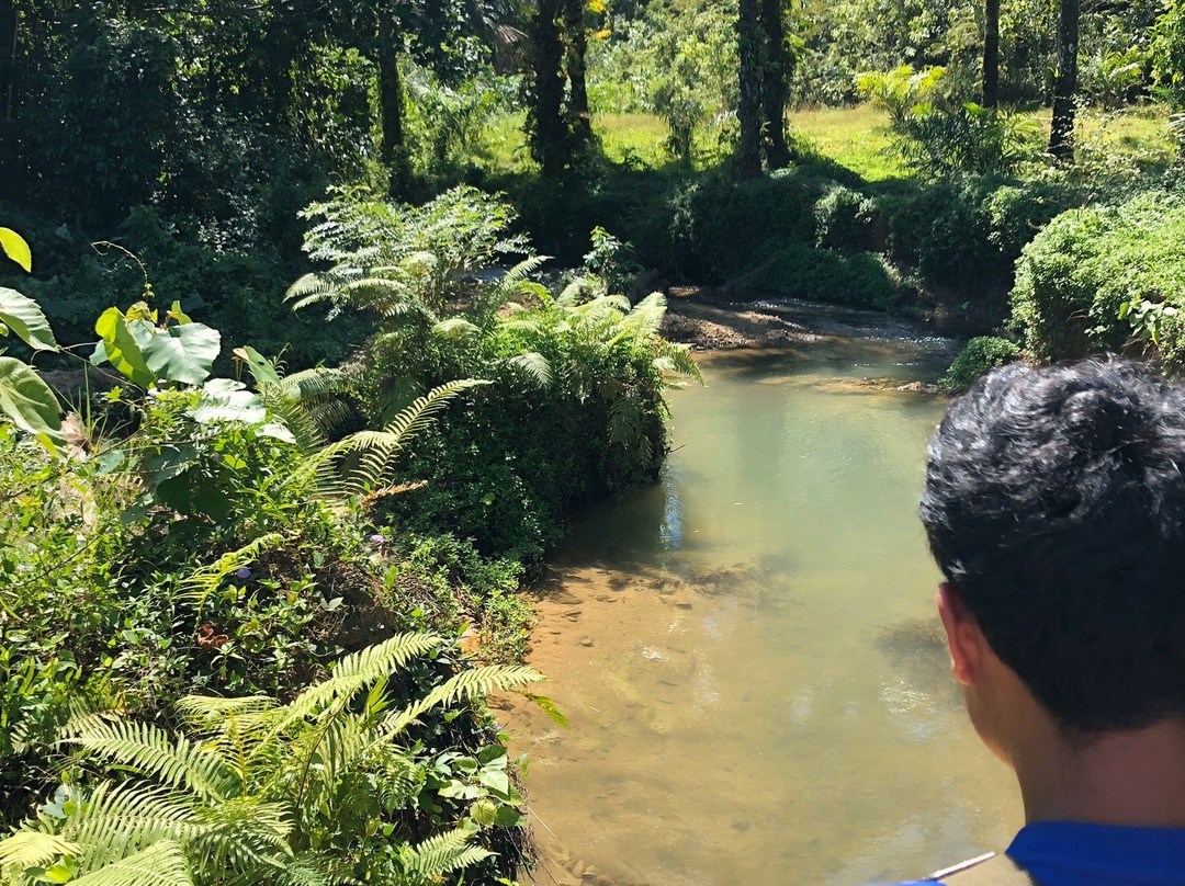 Huay Tho Waterfall Safaris景点图片