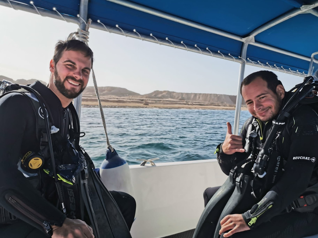 Sinai Divers Aqaba-亚喀巴必去景点