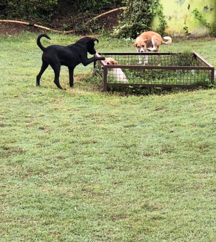 Anna Park-亚尔考德必去景点