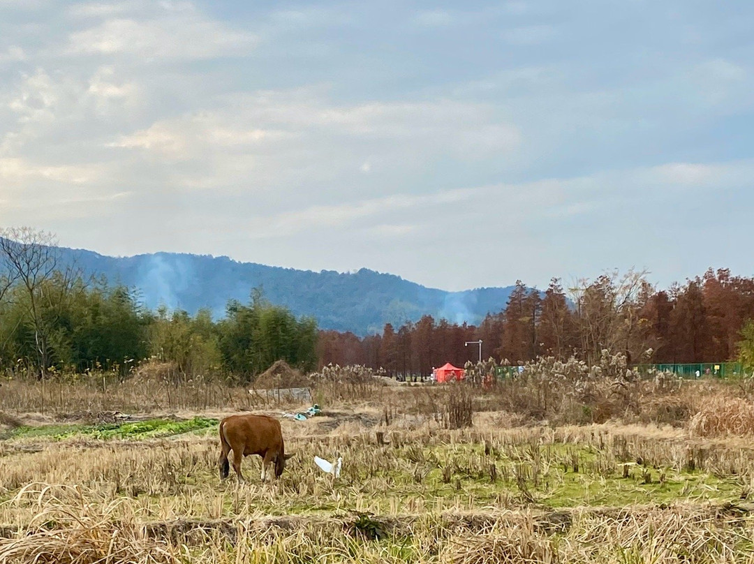 四明湖-余姚市必去景点