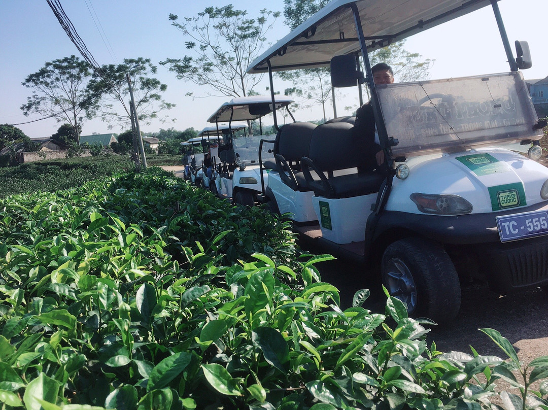 Tan Cuong Tea Cultural Center-Thai Nguyen必去景点