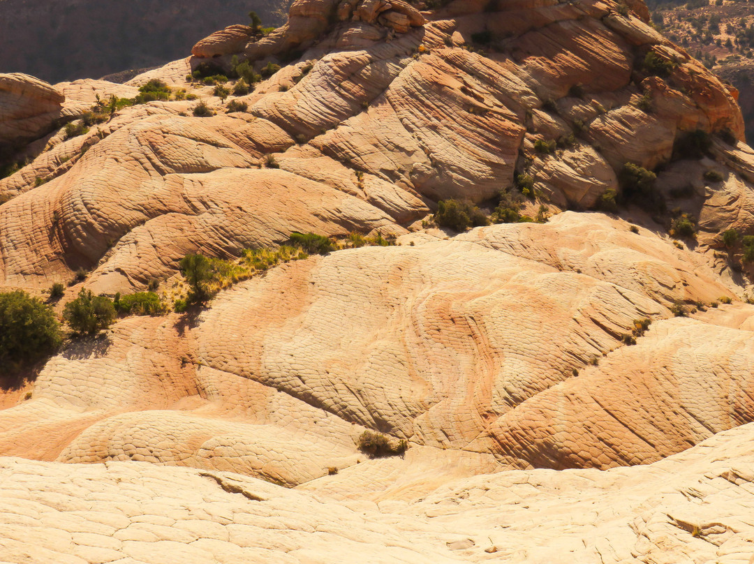 Yant Flat-Leeds必去景点