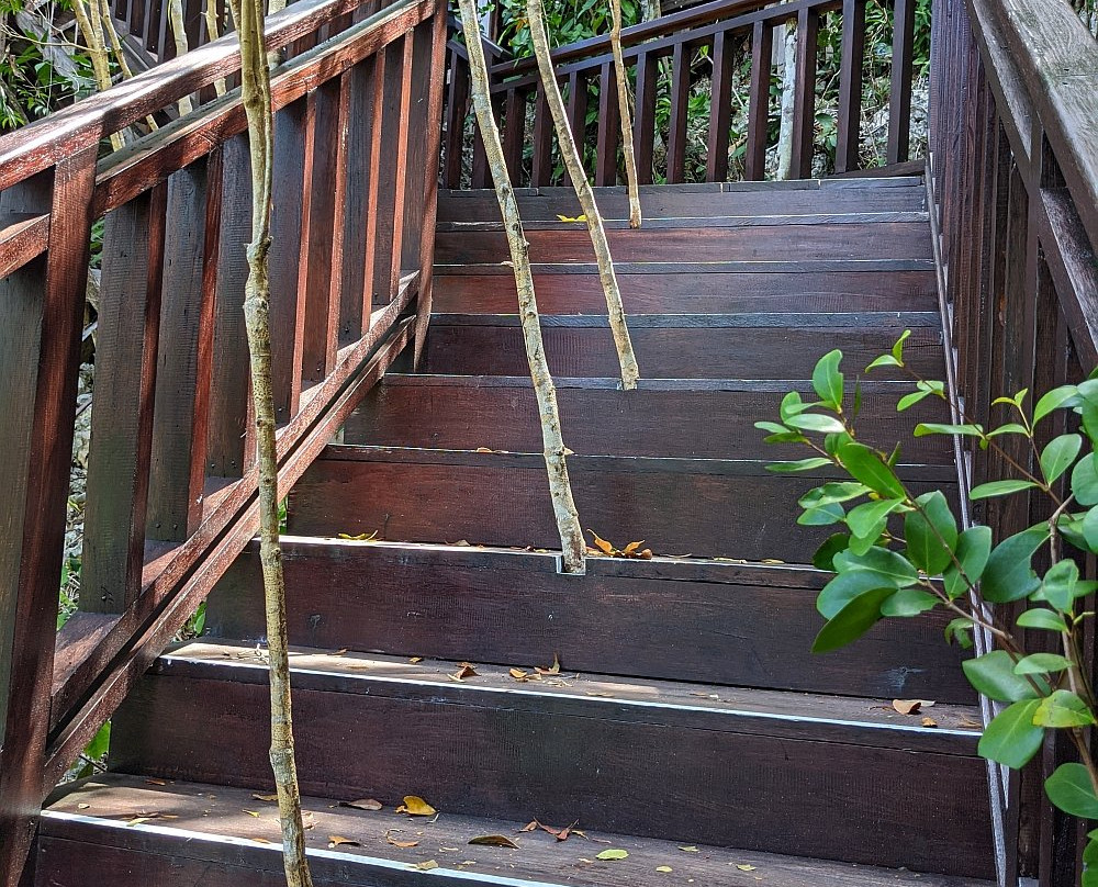 Pianemo Hill-四王岛必去景点