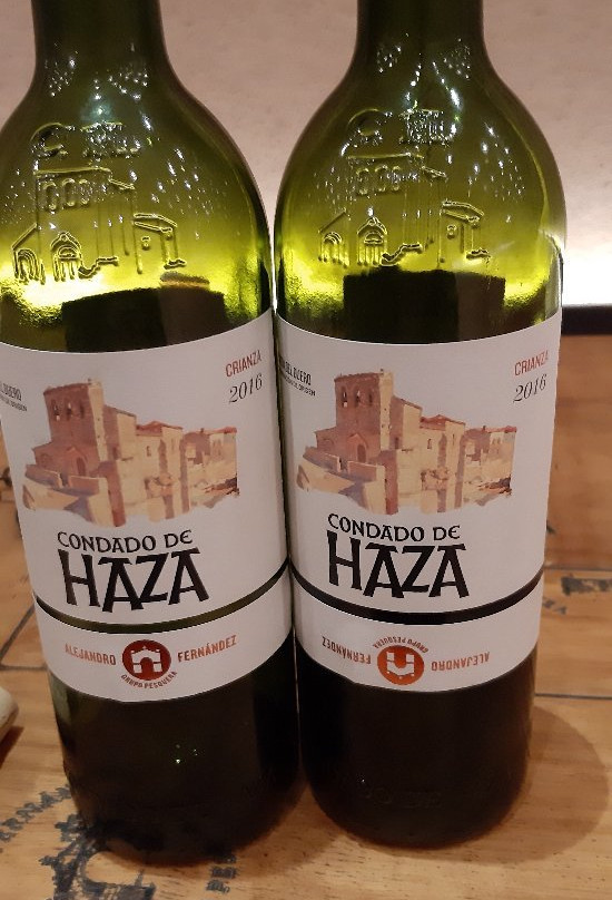 Grupo Pesquera, Bodega Condado de Haza景点图片