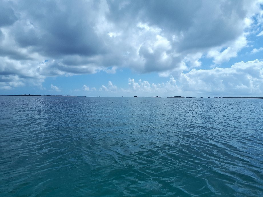 Mafia Island Diving景点图片