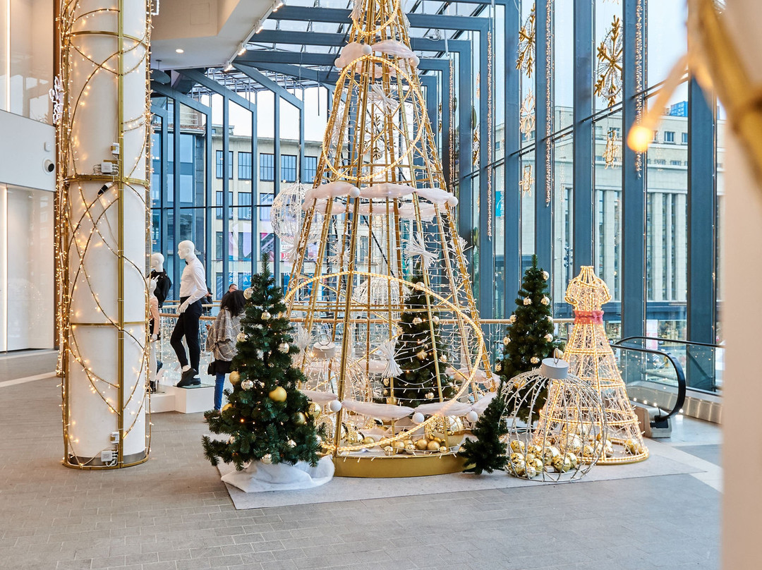 Shopping Rive Gauche Charleroi景点图片