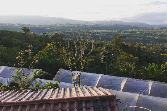 Coffea diversa-Buenos Aires必去景点