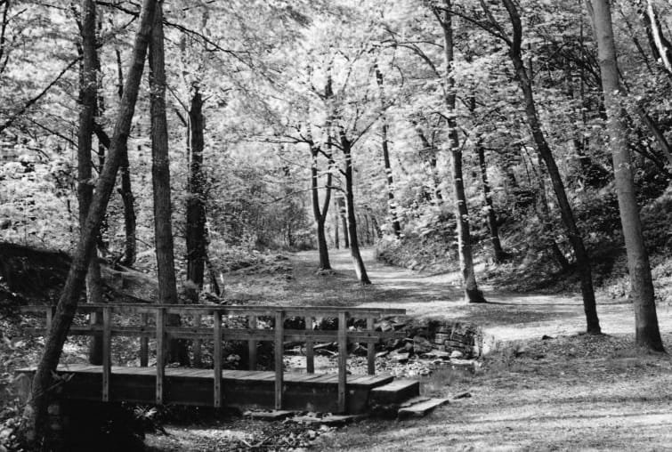 Borsdane Wood景点图片