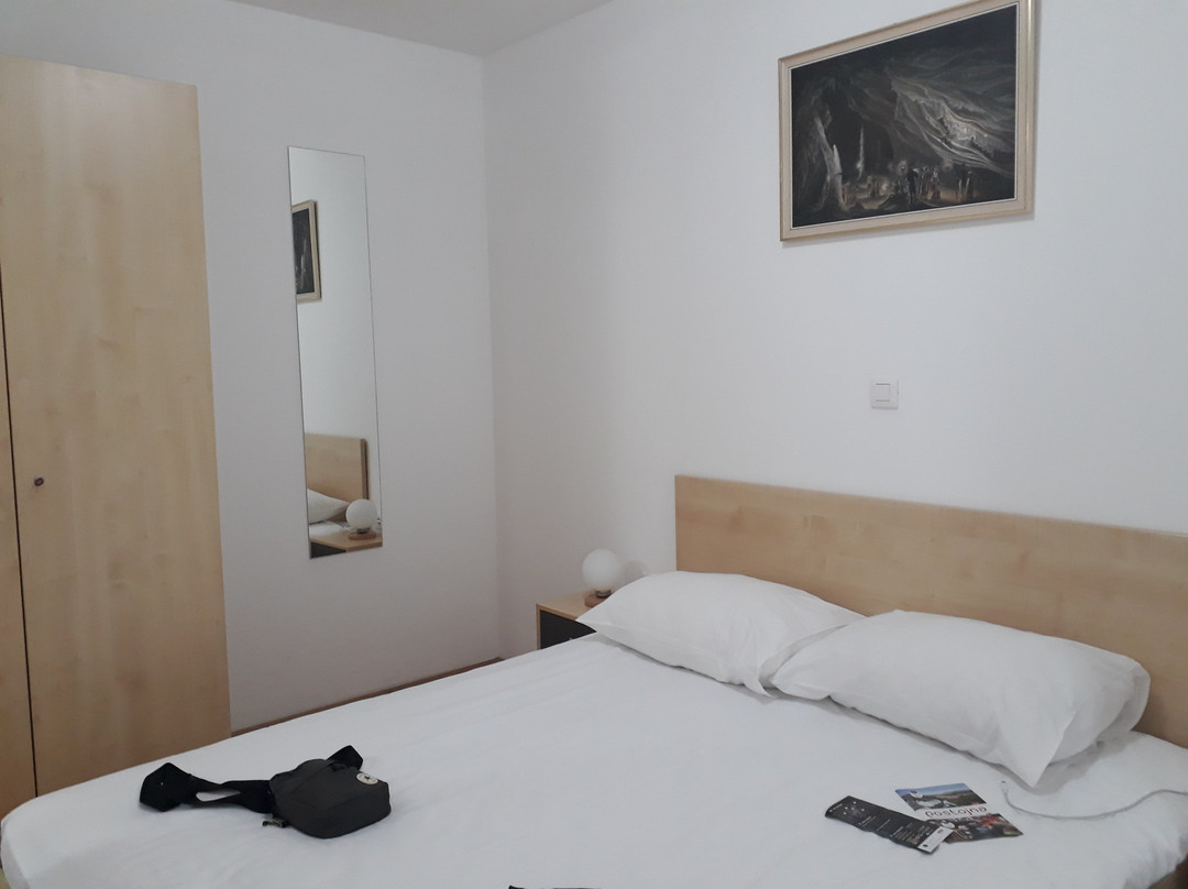 Postojna Cave Rooms & Apartments Proteus主图