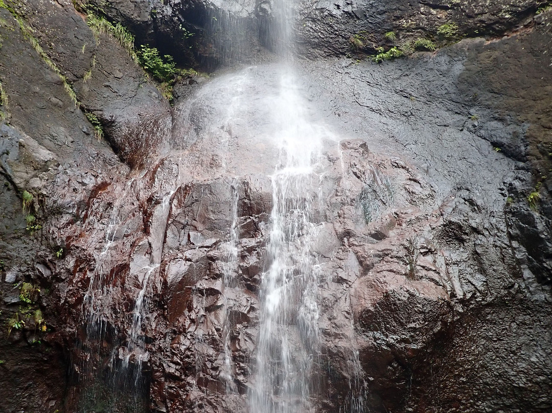 Asao Falls Nature Park-安中市必去景点