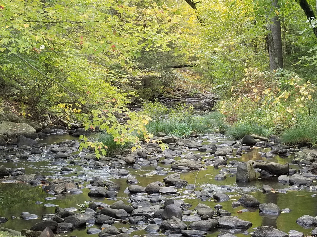 Willard Brook State Forest景点图片