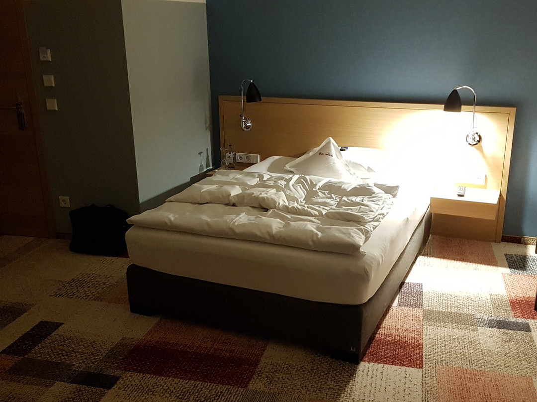 Hotel-Restaurant Schwanen主图