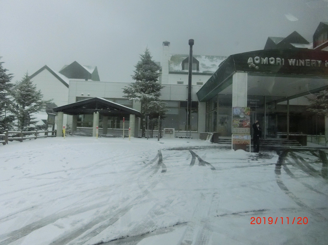 温泉滑雪场景点图片
