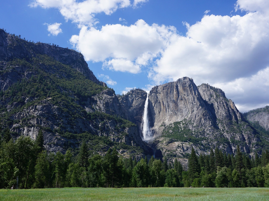 Upper Pines Campground主图