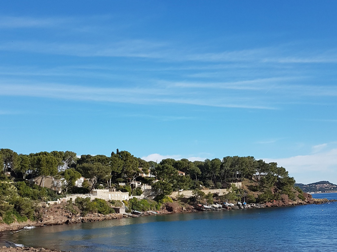 Plage de Fabregas-滨海拉塞纳必去景点