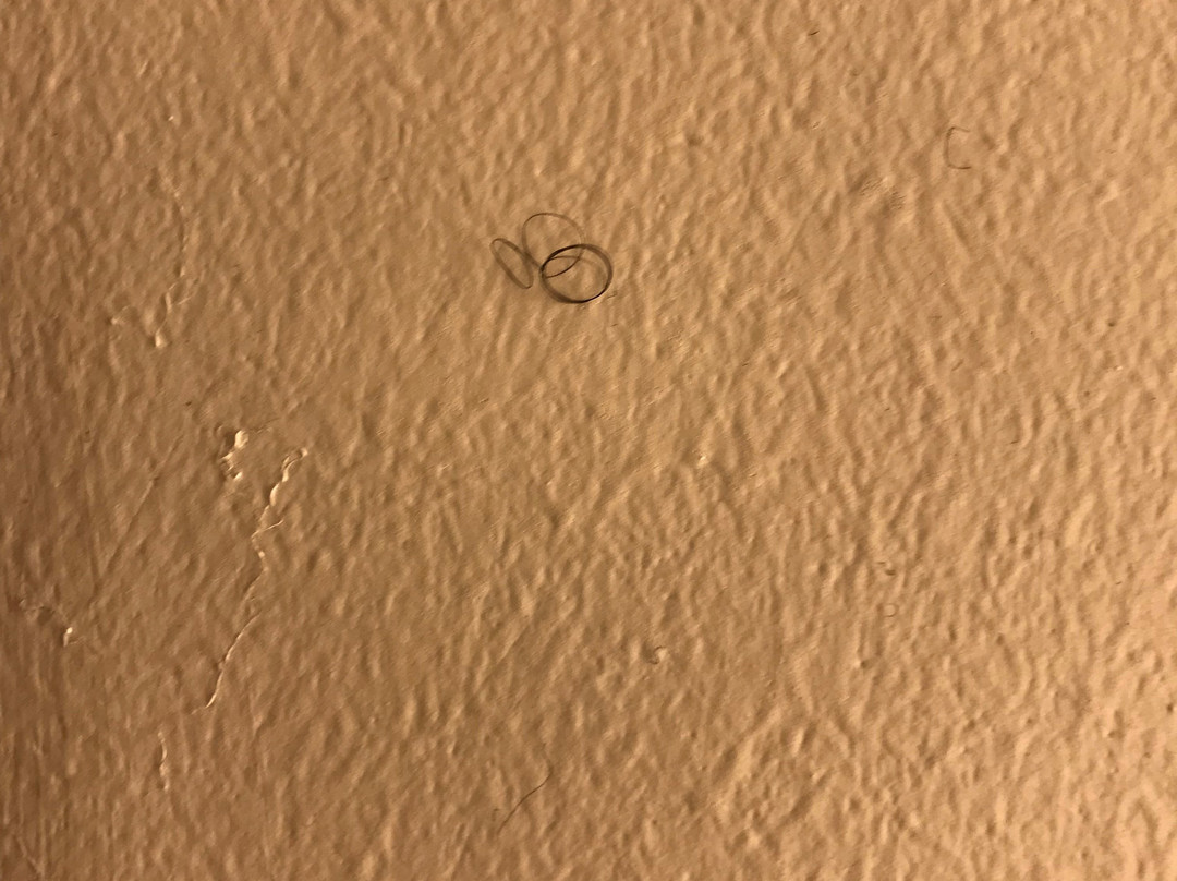 Hyatt Regency Green Bay主图