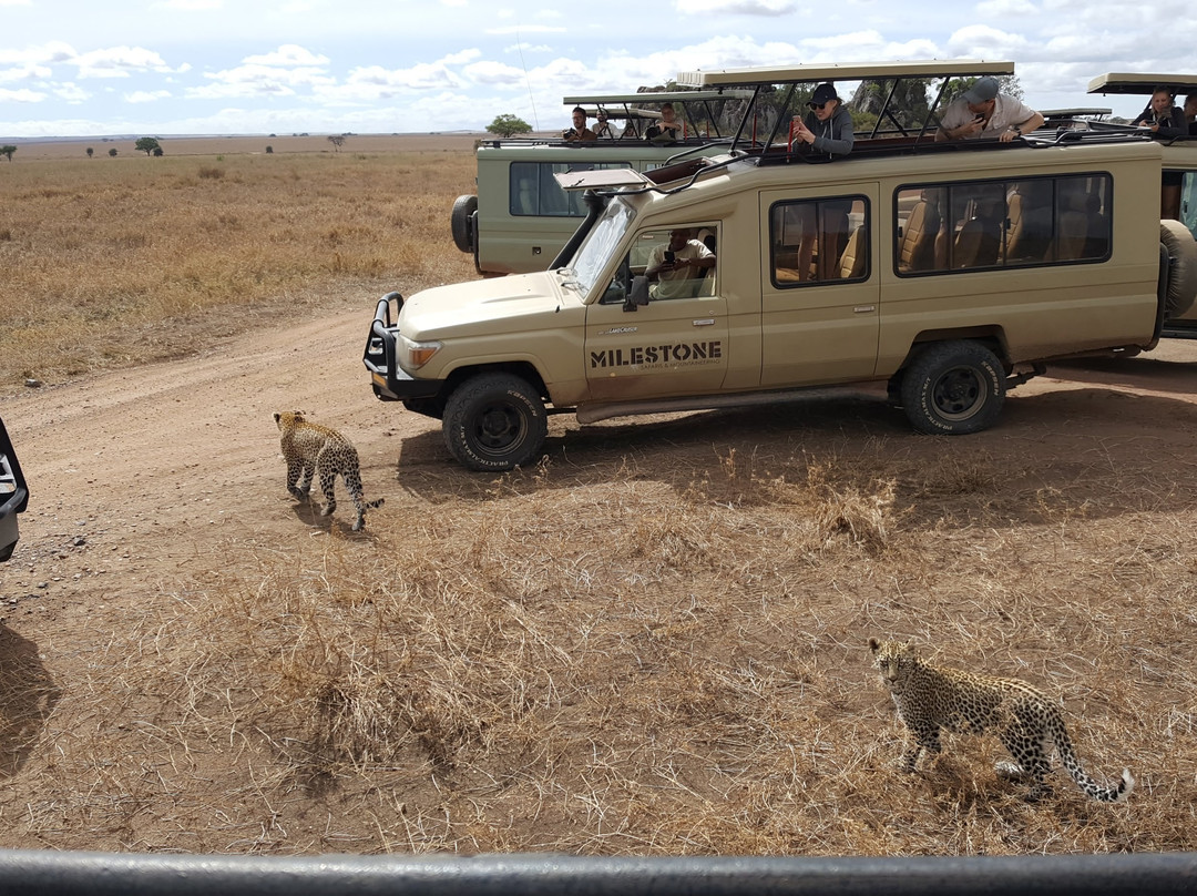 Tanzania Volunteers Ltd Day Tours-莫西必去景点