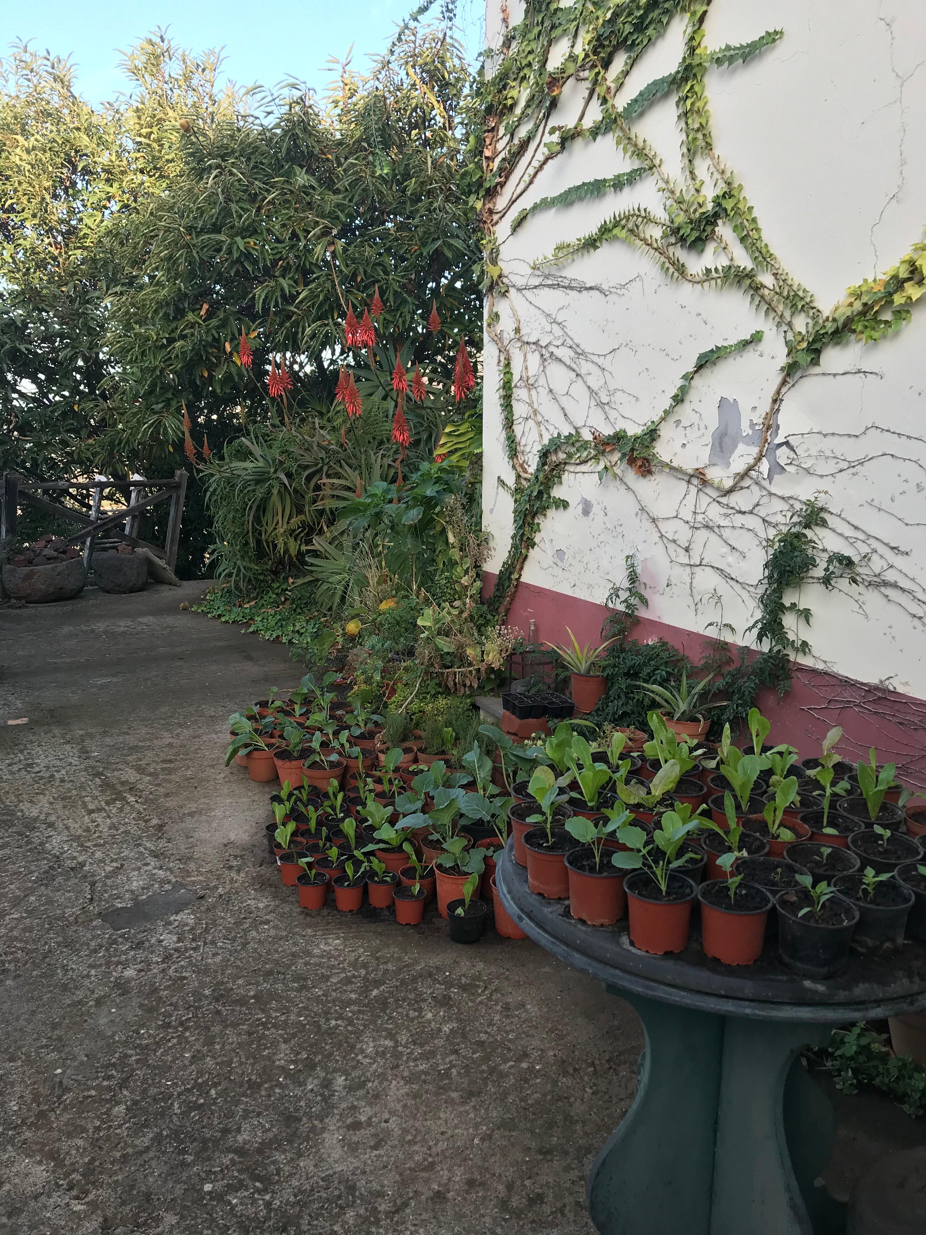 Quinta do Cabouco-浴室