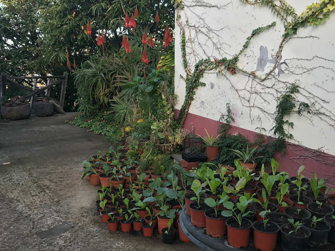 Quinta do Cabouco主图