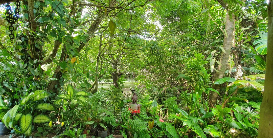 Sigatoka Spa景点图片