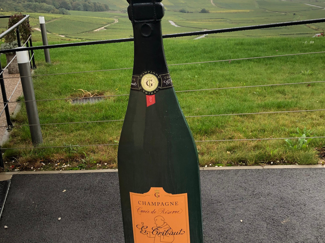 Champagne G. Tribaut景点图片