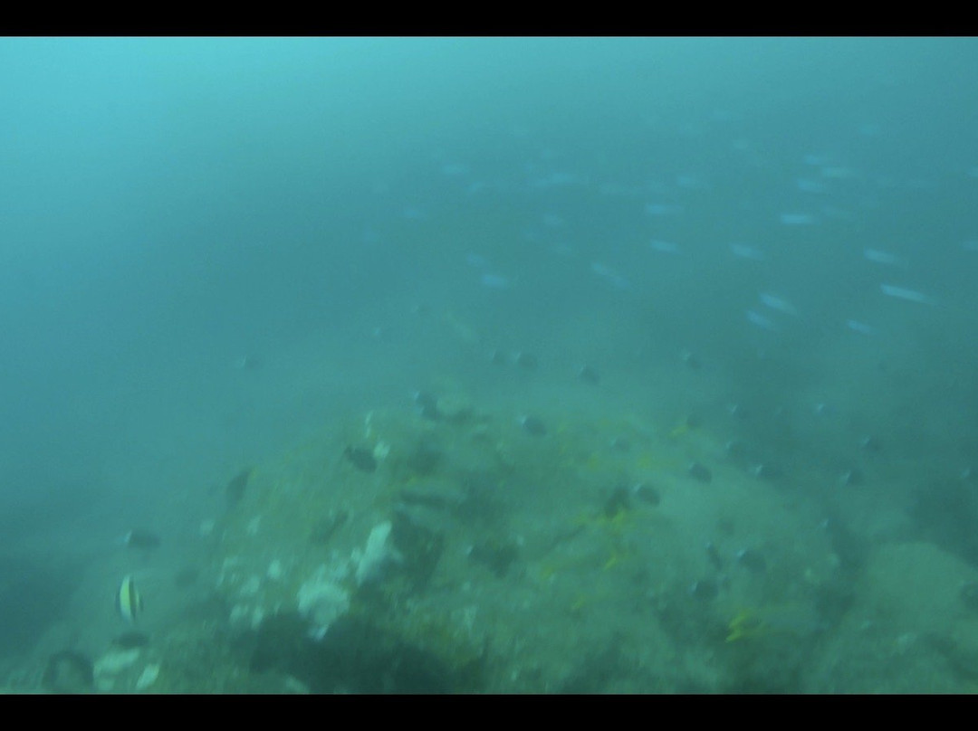 Ticabo Diving Centre景点图片
