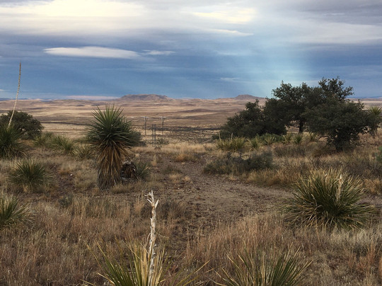 The Desk-Alpine必去景点