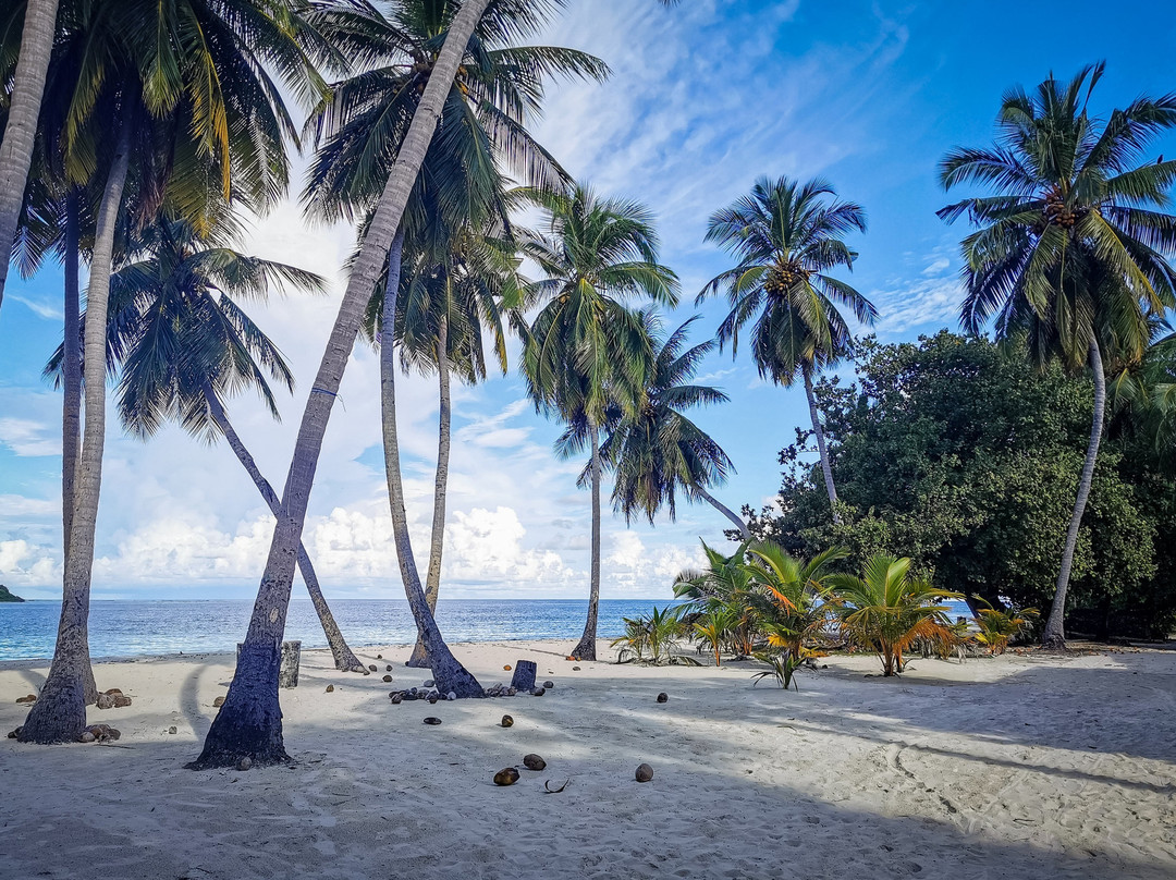 Maclura Residence主图