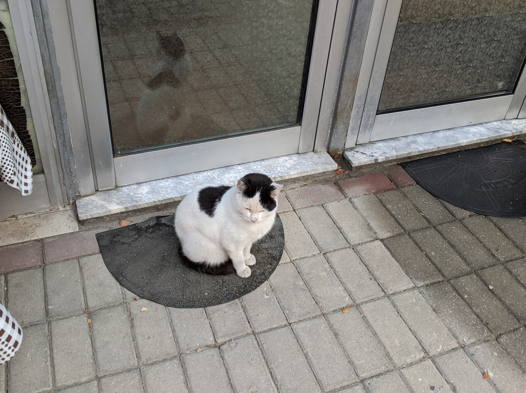 Motel Le Village主图