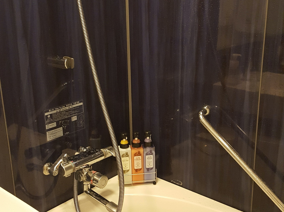 Daiwa Roynet Hotel Shimbashi主图