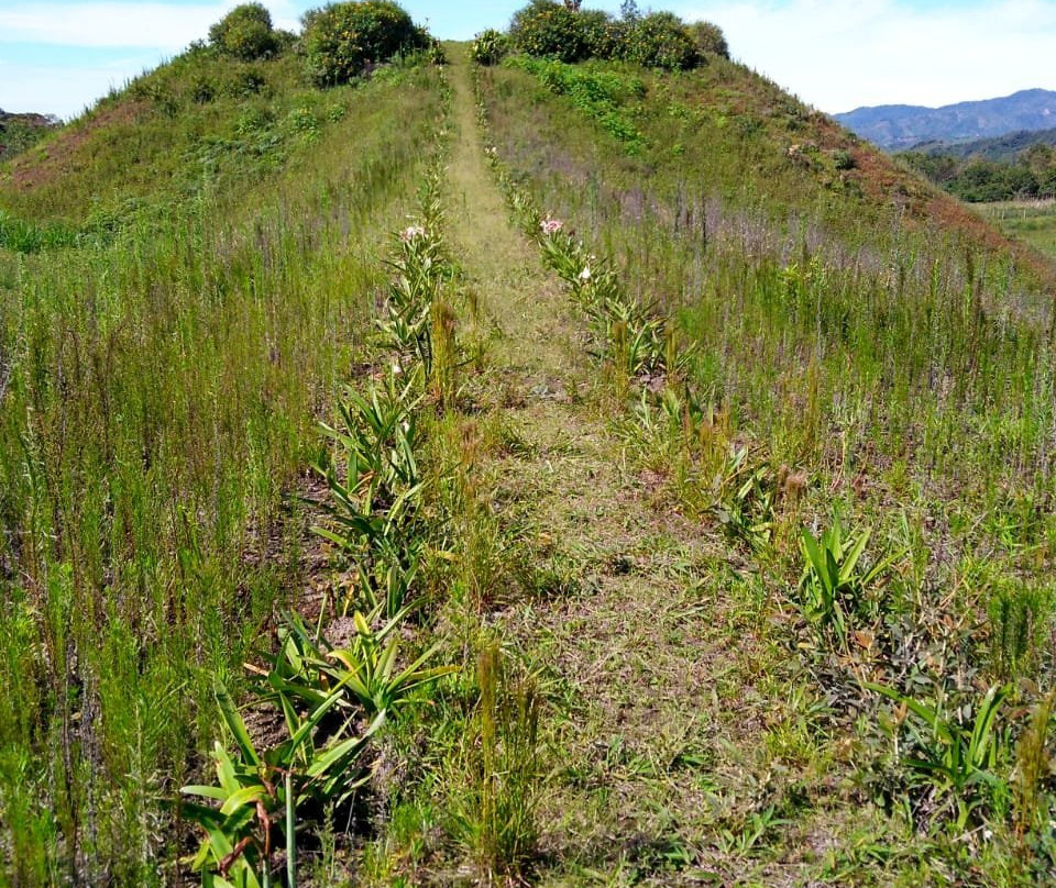 Willka Eco Lodge主图