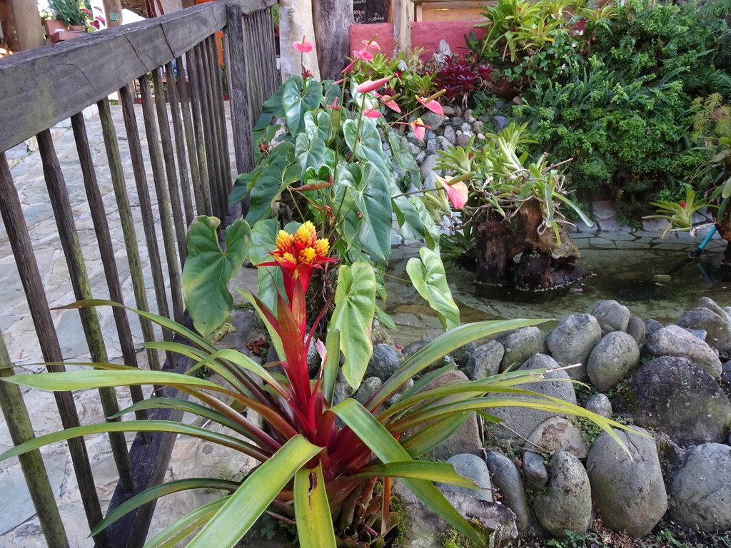 Hotel del Campo-浴室