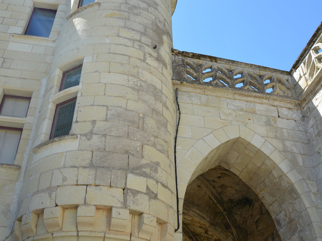 Chateau du Petit Thouars-Saint-Germain-sur-Vienne必去景点