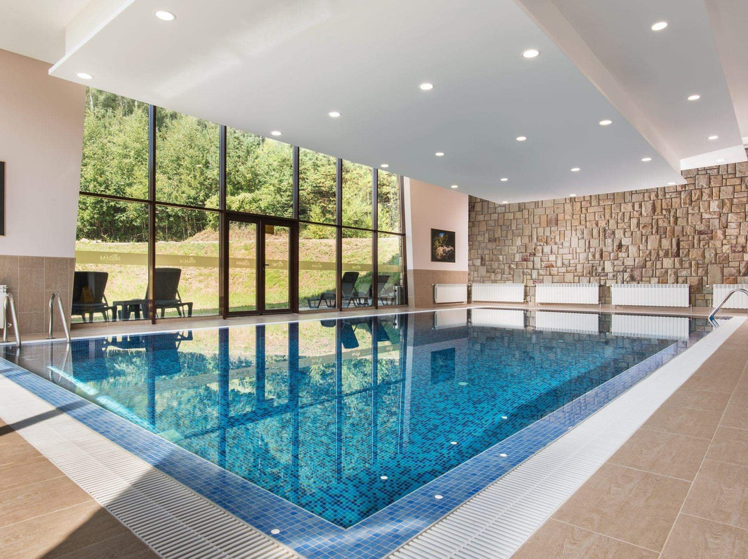 Hotel Villa Magus主图