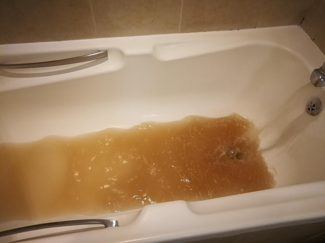 Southern Sun Bloemfontein主图