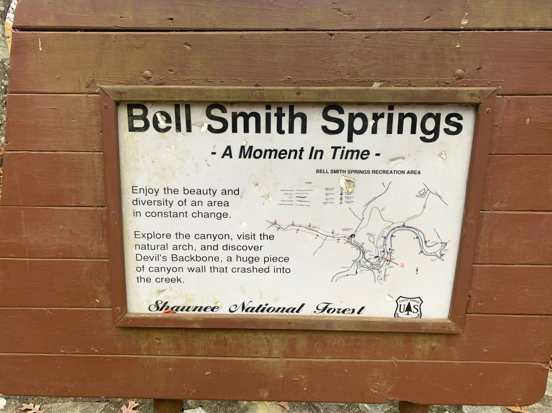 Bell Smith Springs景点图片