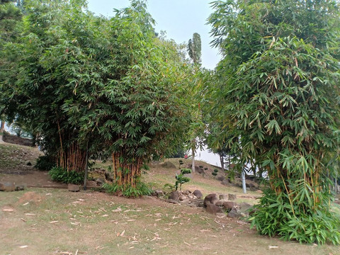 Rock Garden-Kampung Gubah必去景点