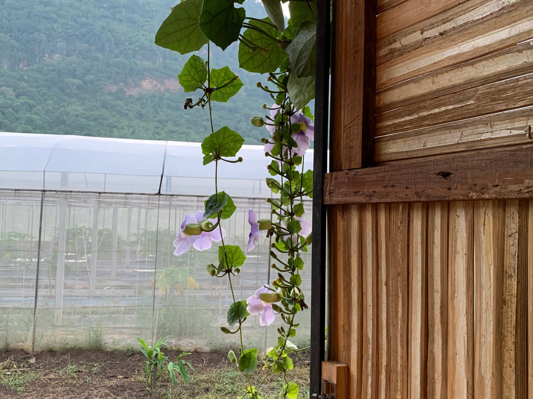 Tham Hup Pa Tat Cave-兰沙必去景点