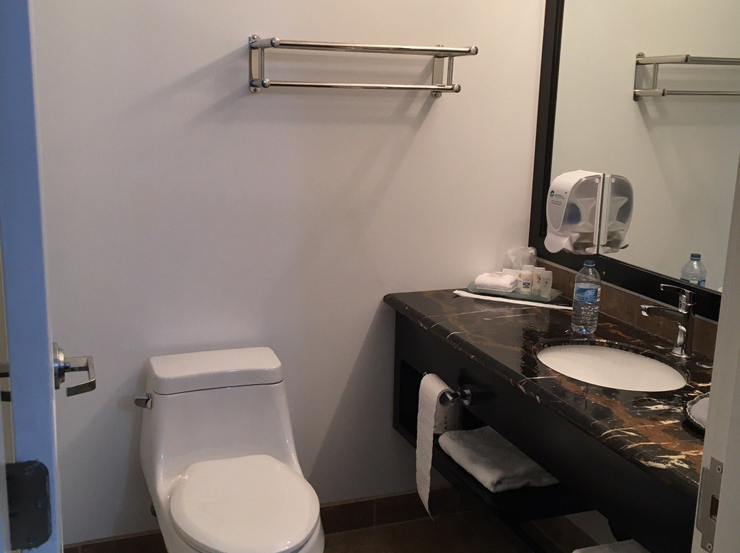 Sunshine Inn Houston主图