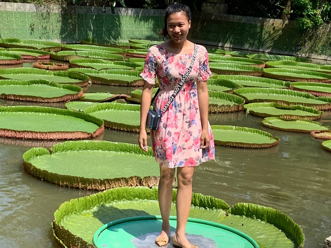 Xeo Quyt Relic Area-Cao Lanh必去景点