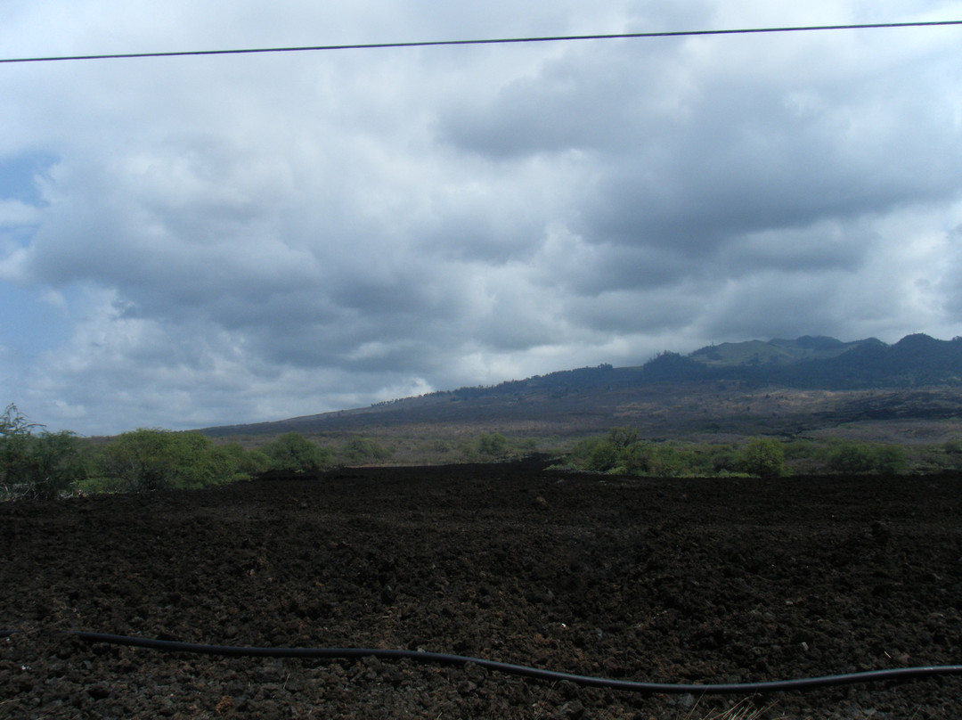 Lava Fields景点图片