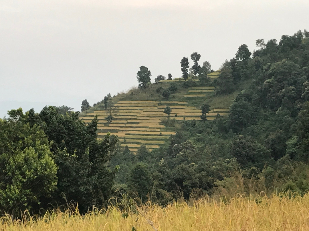 Astam Village Lodge主图