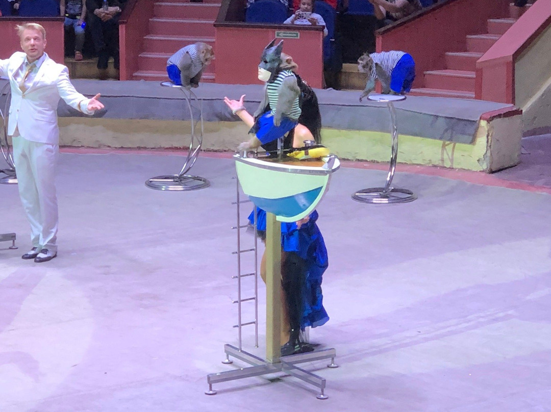 Sochi State Circus-索契必去景点