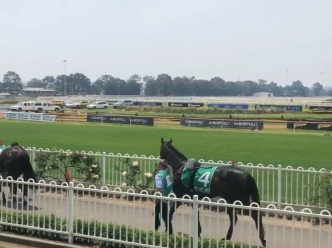Rosehill Gardens Racecourse景点图片